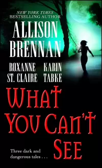 What You Can't See (7 Deadly Sins #0.6)