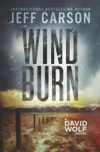 Wind Burn (David Wolf Mystery Thriller Series #19)