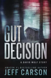 Gut Decision (David Wolf Mystery Thriller Series #0.5)