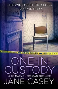 One in Custody (Maeve Kerrigan #7.5)