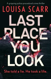 Last Place You Look (Butler & West #1)