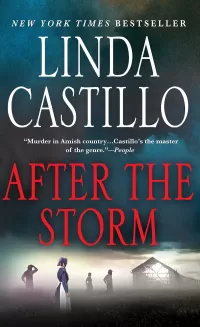 After the Storm (Kate Burkholder #7)