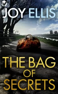 The Bag of Secrets (Detective Matt Ballard Mystery #6)