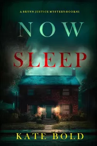 Now Sleep (Brynn Justice #11)