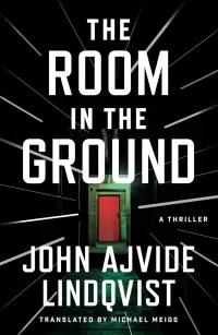 The Room in the Ground (Bloodstorm #2)