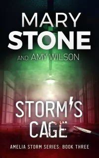 Storm's Cage (Amelia Storm FBI Mystery Series #3)