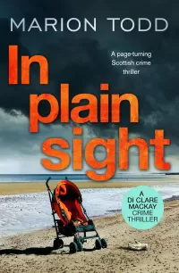 In Plain Sight (Detective Clare Mackay #2)