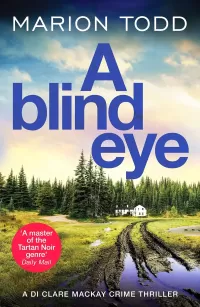 A Blind Eye (Detective Clare Mackay #7)