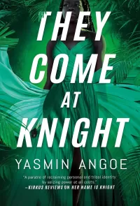 They Come at Knight (Nena Knight #2)