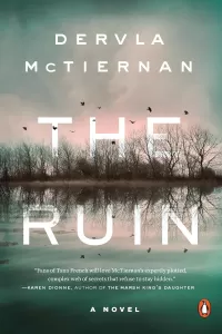 The Ruin (DI Cormac Reilly #1)