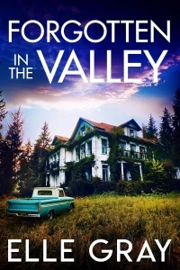 Forgotten in the Valley (A Sapphire Valley Mystery #9)