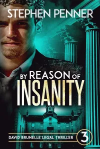 By Reason of Insanity (David Brunelle Legal Thriller Series #3)