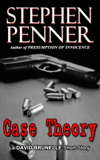Case Theory (David Brunelle Legal Thriller Series #4.6)