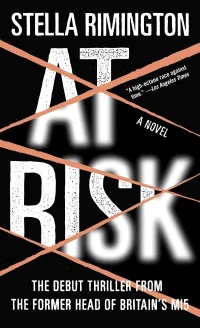At Risk (Liz Carlyle Novels #1)