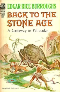Back to the Stone Age