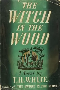 The Witch in the Wood