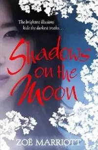 Shadows on the Moon