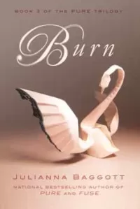 Burn