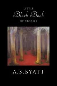 Little Black Book of Stories