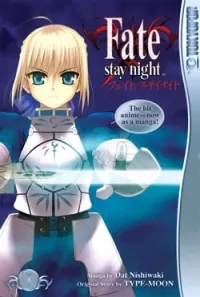 Fate/Stay Night: Volume 1