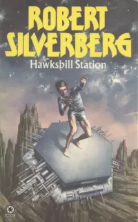 Hawksbill Station