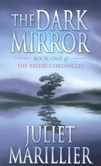 The Dark Mirror